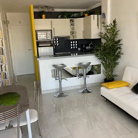 Apartment Tres Bel Entierement Renove *